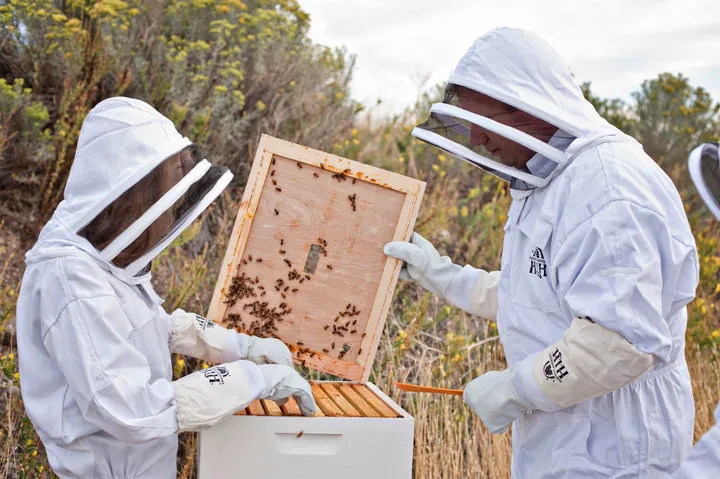 Beekeeping Goat Skin Gloves