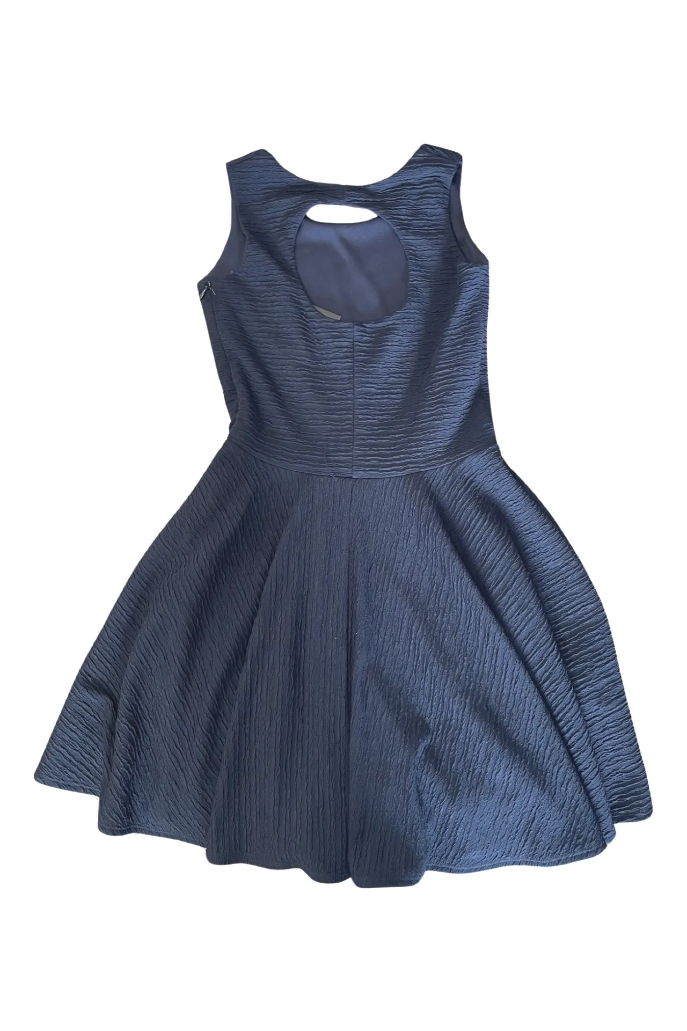 Navy Fit and Flare Dress